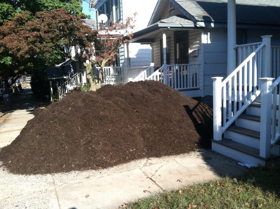 photo 1375774_10151702274602285_302877473_n.jpg